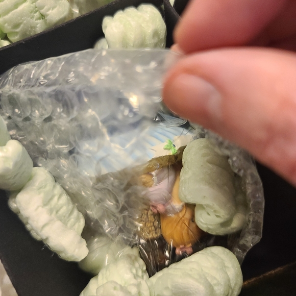 15 Bradford Editions Precious Moments Footprints of Faith Heriloom ornaments - Picture 2 of 9